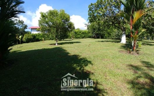 Finca Lote Cerca Tebaida   Código -1422