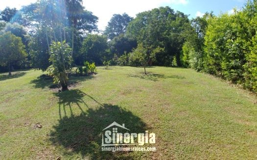 Finca Lote Cerca Tebaida   Código -1422