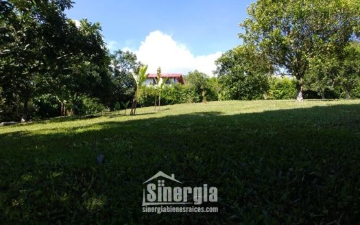 Finca Lote Cerca Tebaida   Código -1422