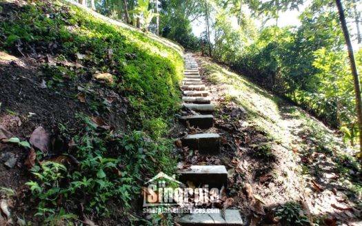Finca Lote Cerca Tebaida   Código -1422